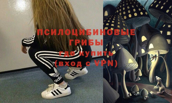 мдпв Зеленокумск