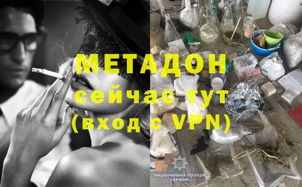 шишки Заволжье